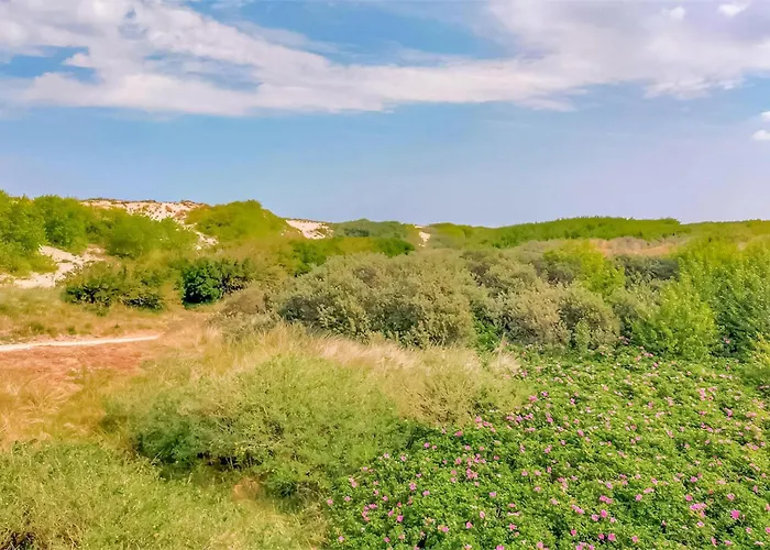 1 Bedroom Awesome In *